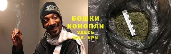 ПСИЛОЦИБИНОВЫЕ ГРИБЫ Медвежьегорск