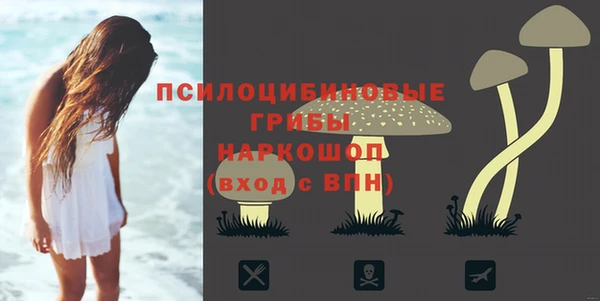 винт Магадан