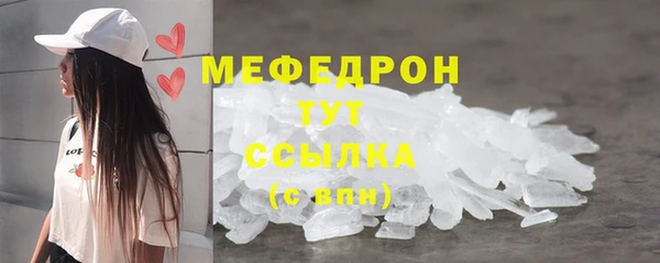 соль ск Ельня