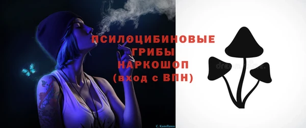 ПСИЛОЦИБИНОВЫЕ ГРИБЫ Медвежьегорск