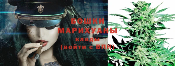 ПСИЛОЦИБИНОВЫЕ ГРИБЫ Медвежьегорск