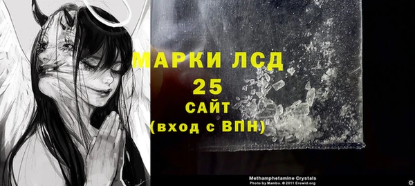 ПСИЛОЦИБИНОВЫЕ ГРИБЫ Медвежьегорск