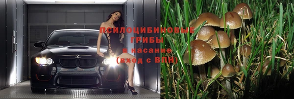 ПСИЛОЦИБИНОВЫЕ ГРИБЫ Медвежьегорск
