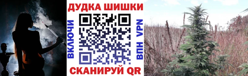 Марихуана MAZAR  Нолинск 